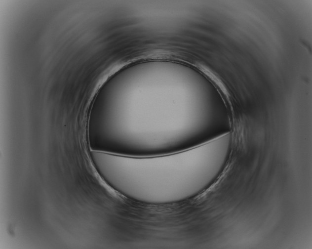 X0000093591437200710151008