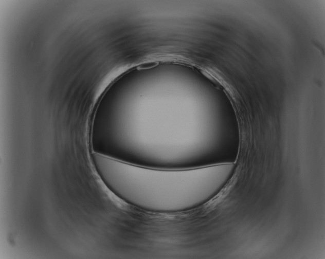 X0000093591438200710151008