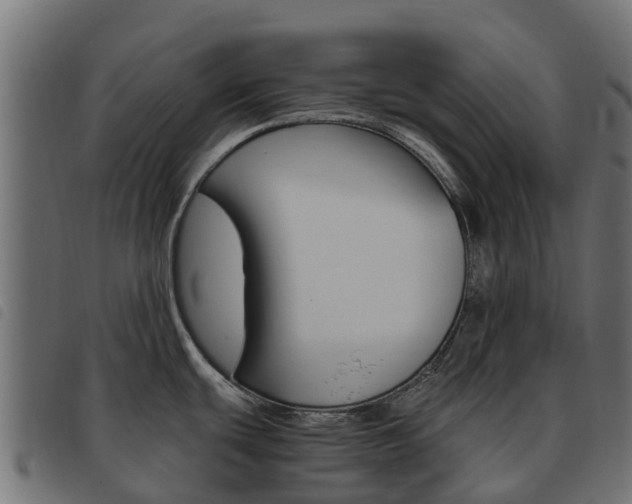 X0000093591439200710151008