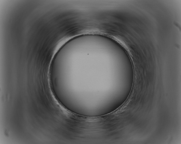 X0000093591440200710151008