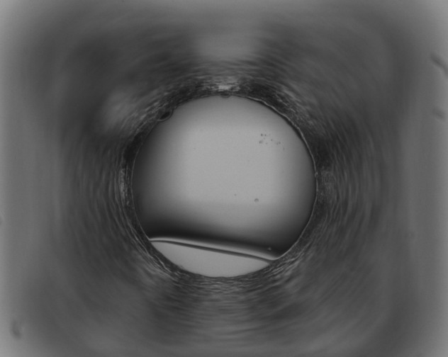 X0000093591442200710151008