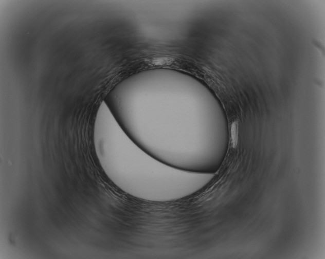 X0000093591443200710151008