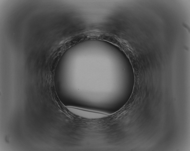 X0000093591445200710151008