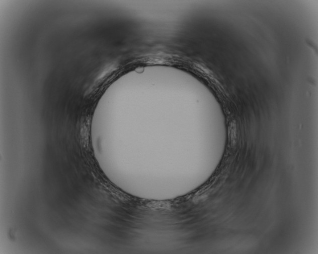 X0000093591446200710151008