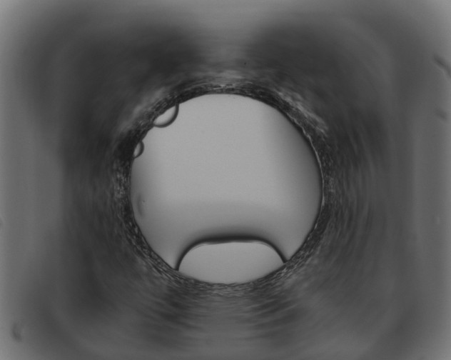 X0000093591447200710151008