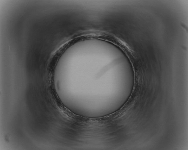 X0000093591448200710151008