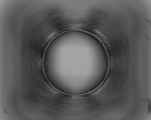 X0000093591449200710151008