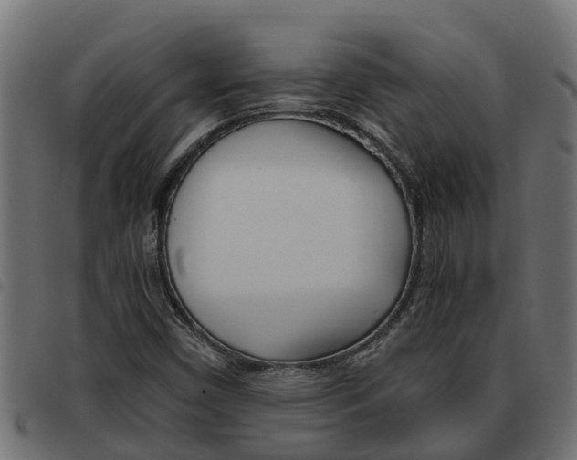 X0000093591450200710151008