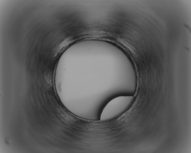 X0000093591451200710151008
