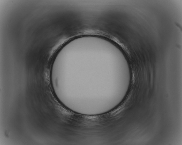 X0000093591454200710151008