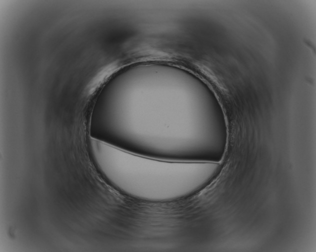 X0000093591455200710151008