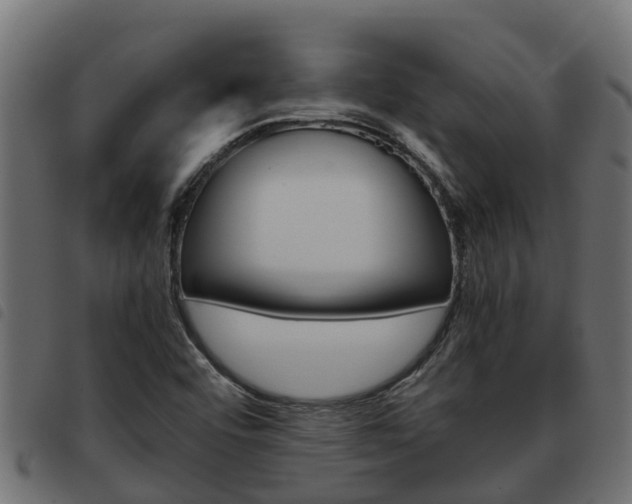 X0000093591456200710151008