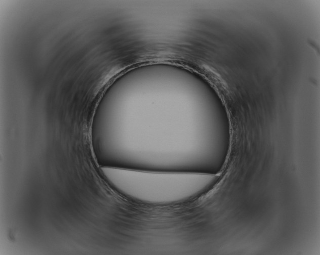 X0000093591457200710151008