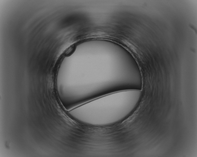 X0000093591458200710151008