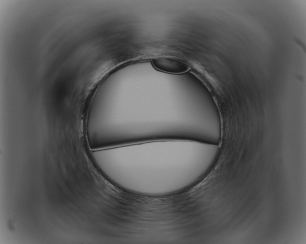X0000093591459200710151008