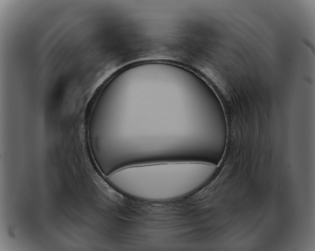 X0000093591460200710151008