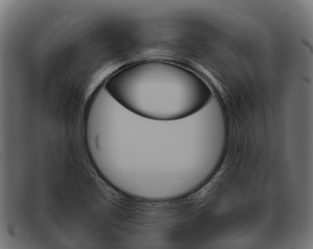 X0000093591461200710151008