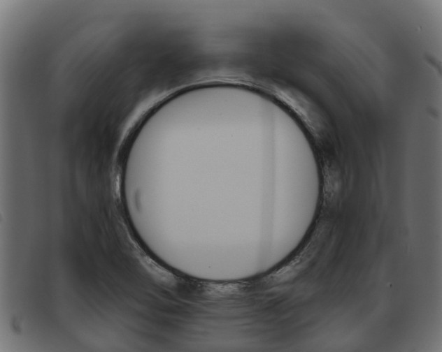 X0000093591462200710151008