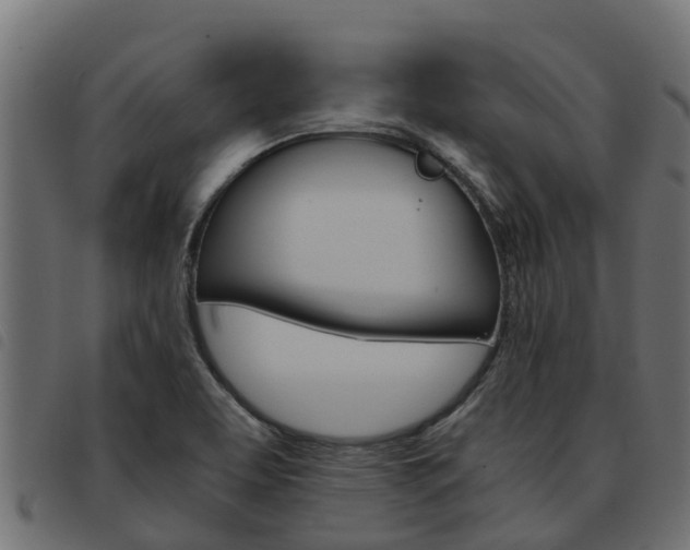 X0000093591463200710151008
