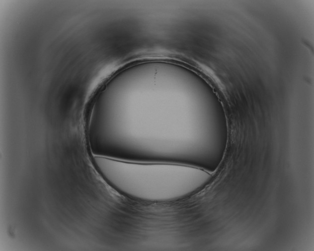 X0000093591464200710151008