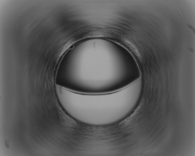 X0000093591465200710151008