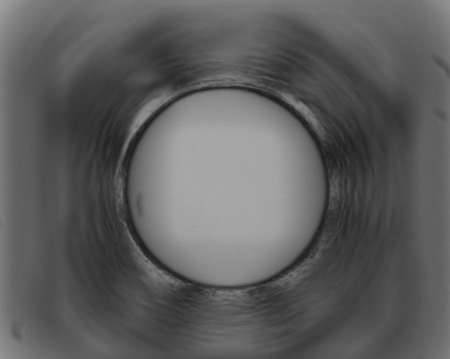 X0000093591466200710151008