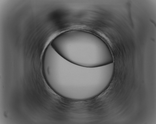 X0000093591467200710151008