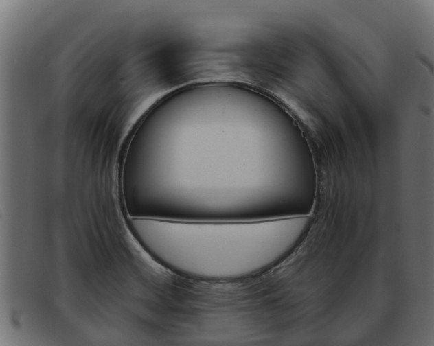 X0000093591468200710151008