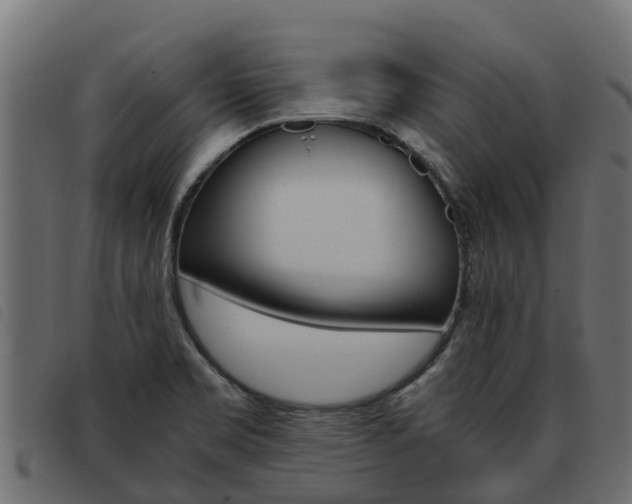 X0000093591469200710151008