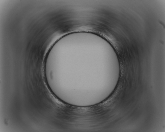 X0000093591470200710151008