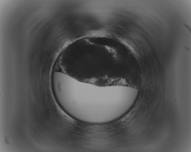 X0000093591471200710151008