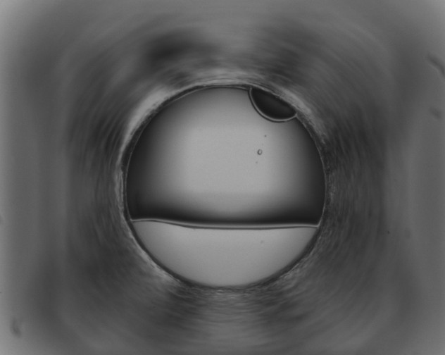 X0000093591472200710151008