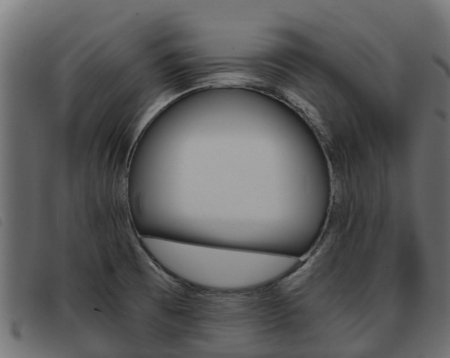 X0000093591473200710151007