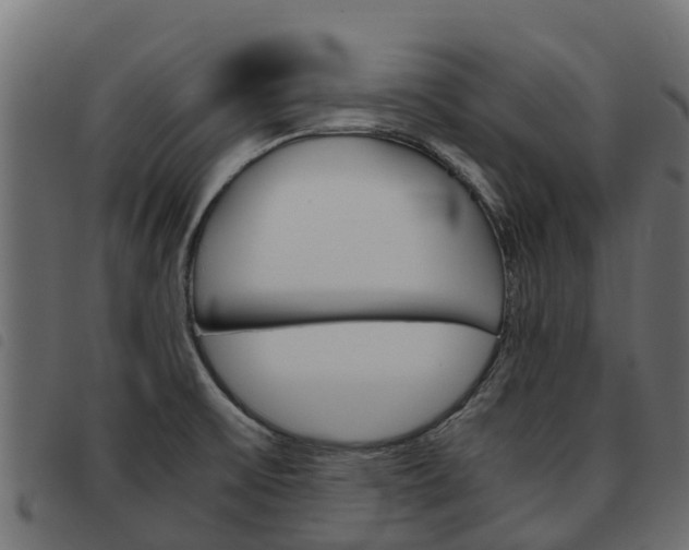 X0000093591475200710151007