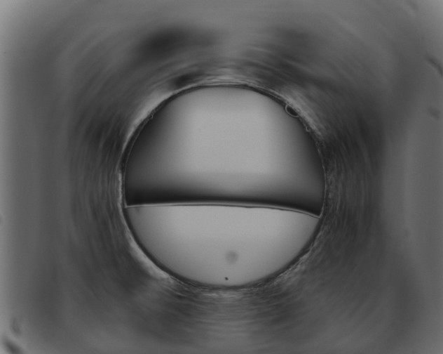 X0000093591476200710151007