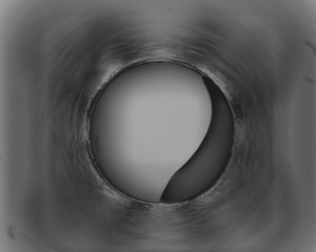 X0000093591477200710151007