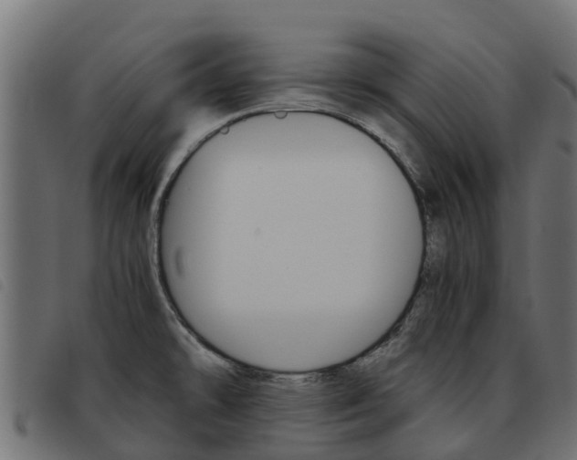 X0000093591478200710151007