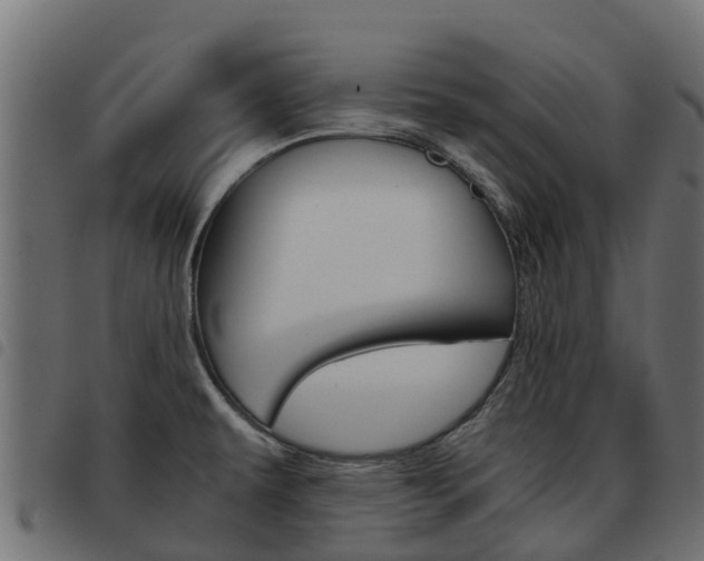 X0000093591479200710151007