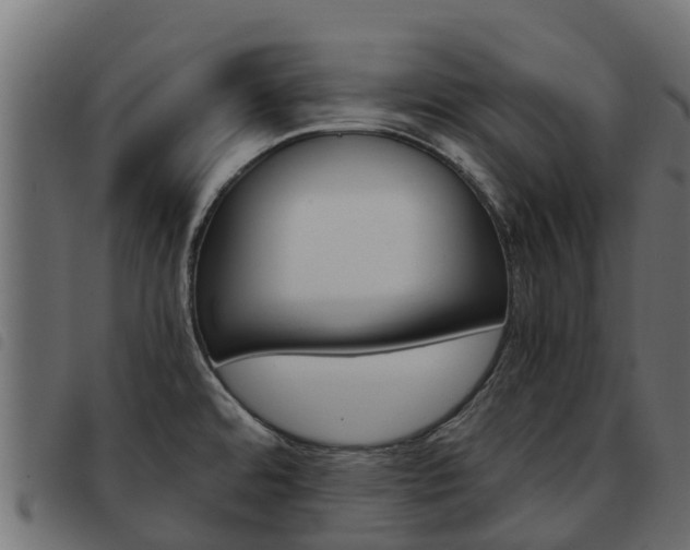 X0000093591480200710151007