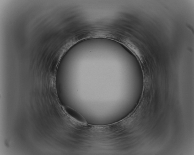 X0000093591481200710151007