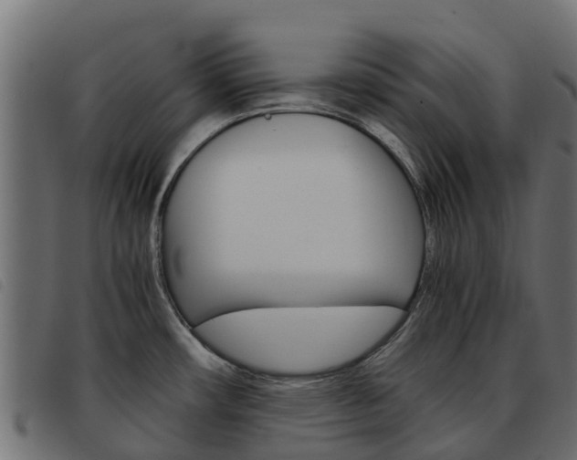 X0000093591482200710151007