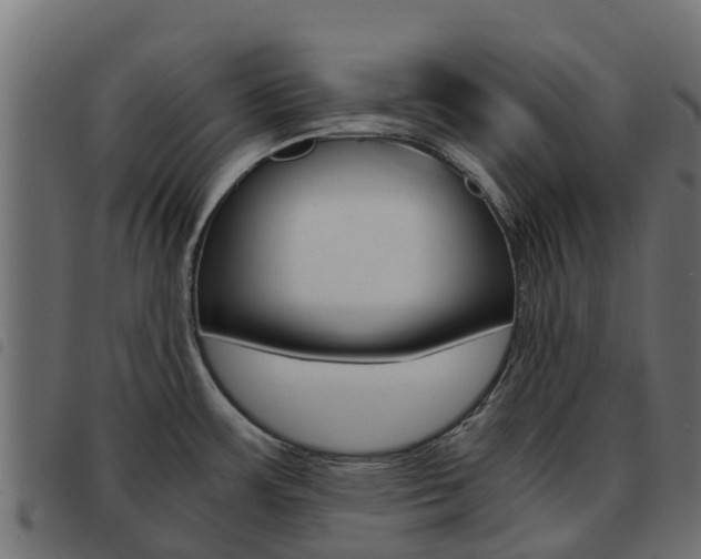 X0000093591483200710151007