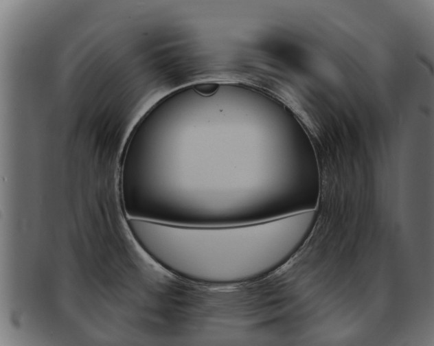 X0000093591484200710151007