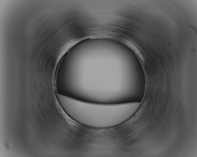 X0000093591485200710151007