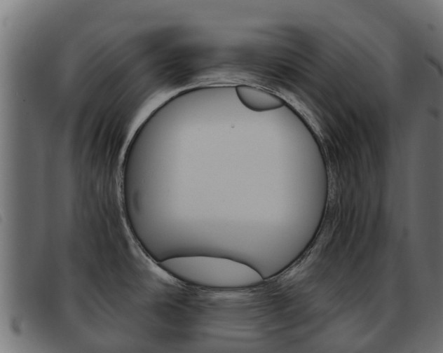 X0000093591486200710151007