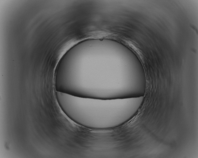 X0000093591487200710151007