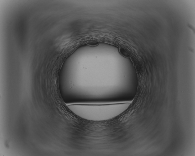 X0000093591489200710151007