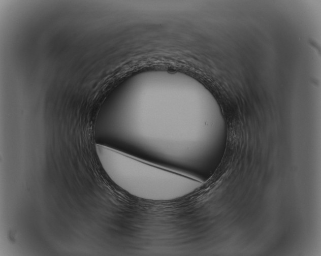 X0000093591490200710151007