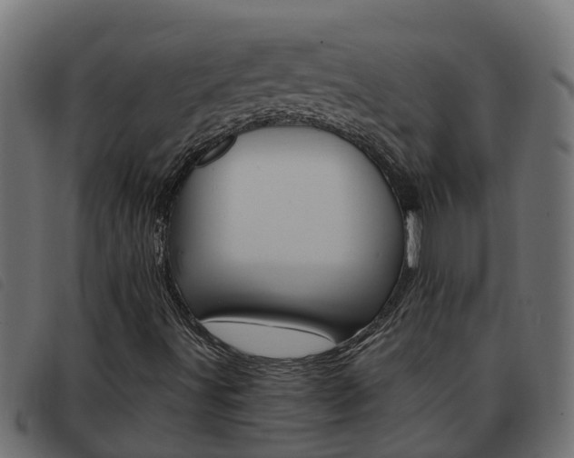 X0000093591491200710151007