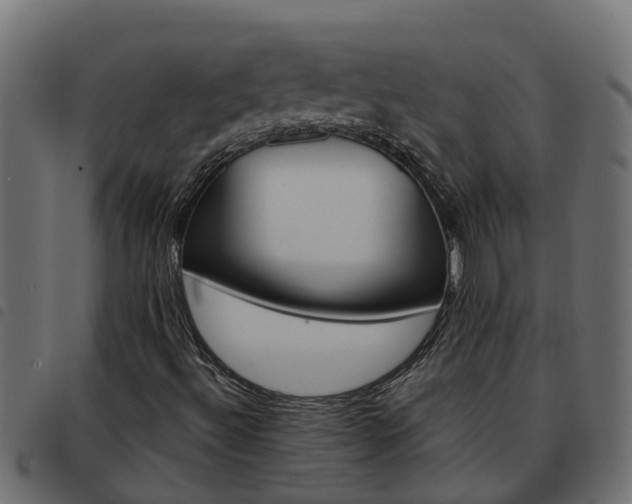 X0000093591492200710151007